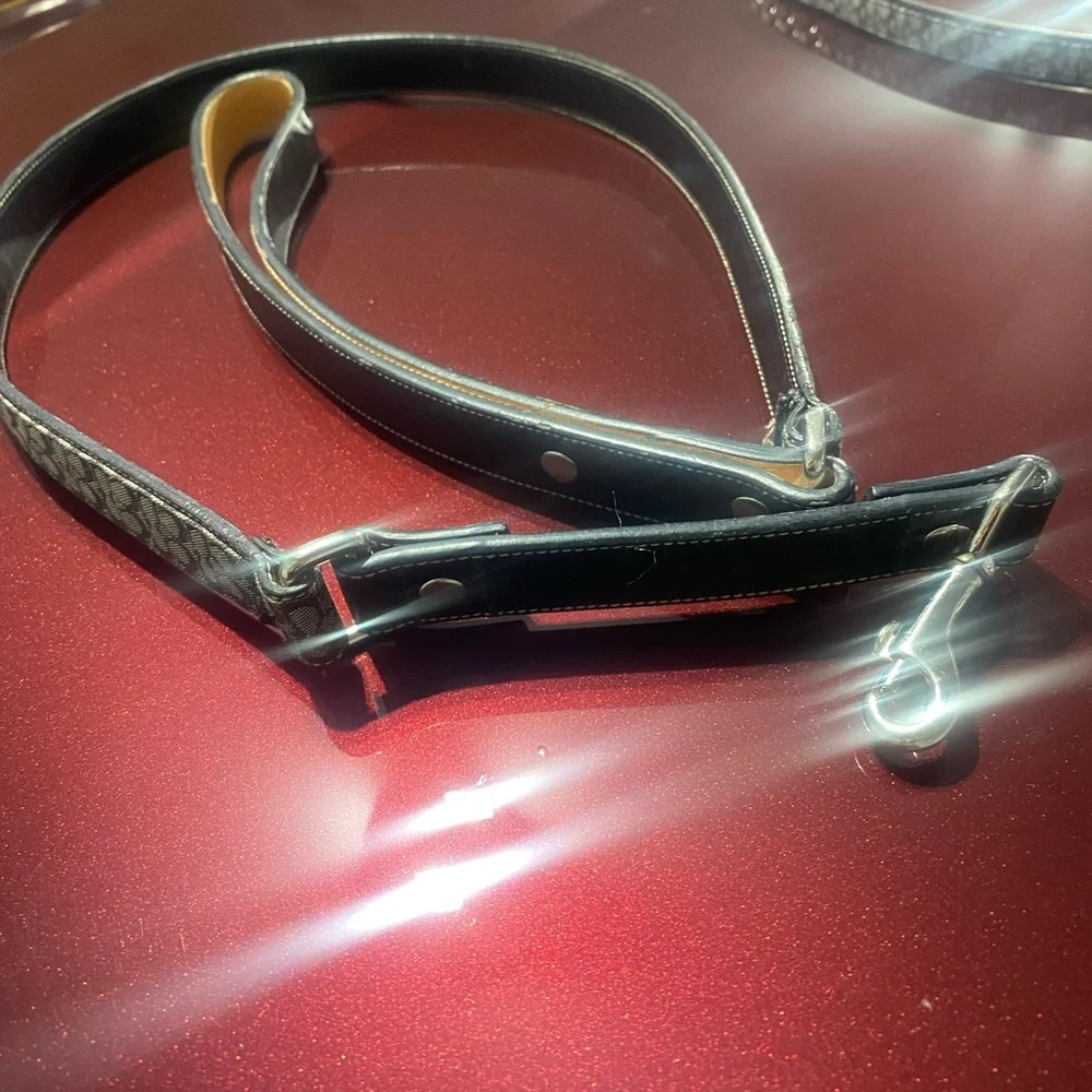 Coach Dog leash and collar